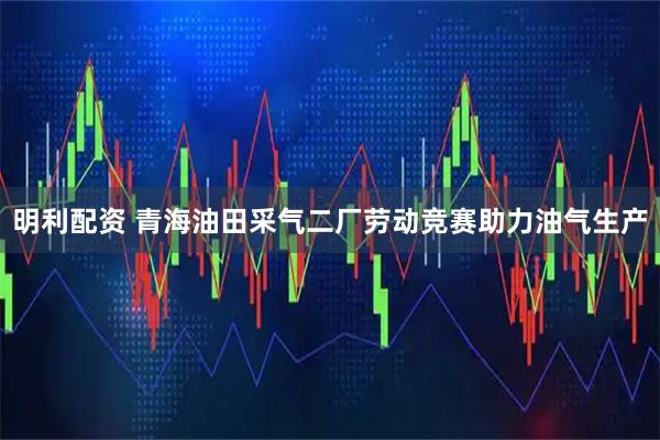 明利配资 青海油田采气二厂劳动竞赛助力油气生产