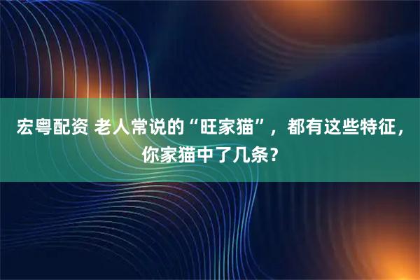 宏粤配资 老人常说的“旺家猫”，都有这些特征，你家猫中了几条？
