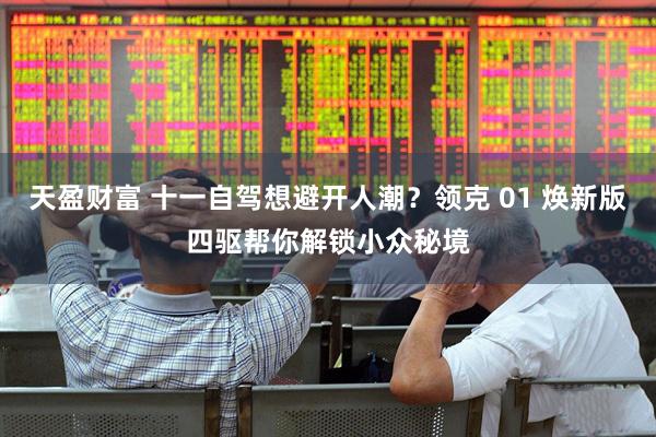 天盈财富 十一自驾想避开人潮？领克 01 焕新版四驱帮你解锁小众秘境