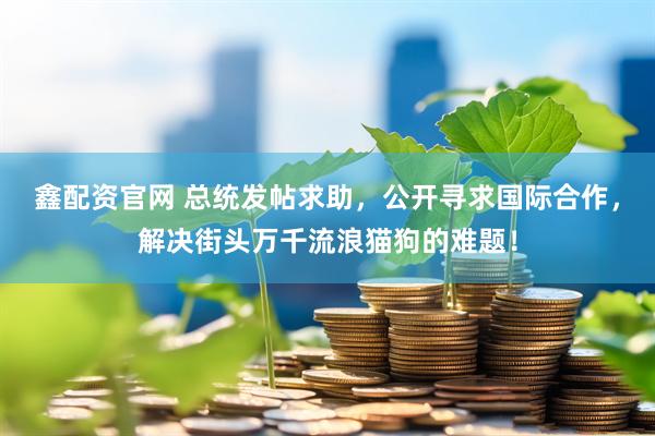 鑫配资官网 总统发帖求助，公开寻求国际合作，解决街头万千流浪猫狗的难题！