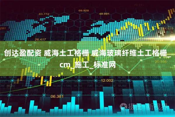 创达盈配资 威海土工格栅 威海玻璃纤维土工格栅_cm_施工_标准网